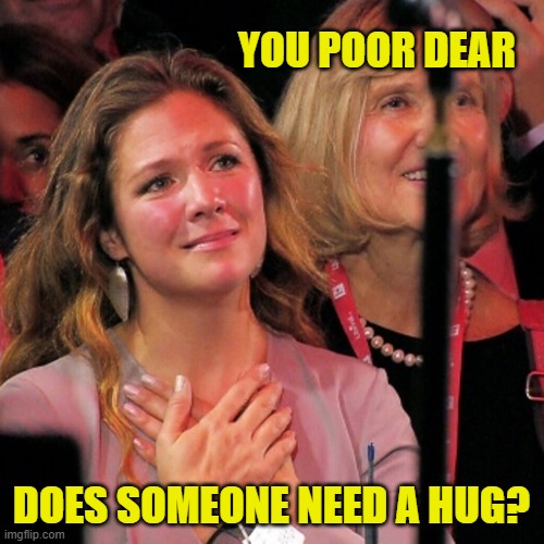 Sophie adores you | YOU POOR DEAR DOES SOMEONE NEED A HUG? | image tagged in sophie adores you | made w/ Imgflip meme maker