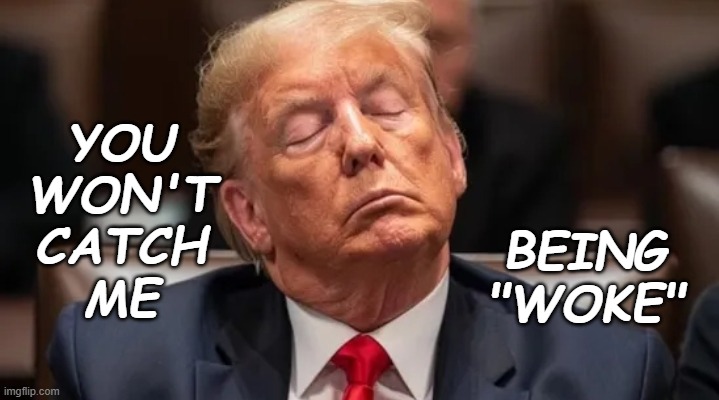 At least he's not --! | YOU
WON'T
CATCH
ME; BEING
"WOKE" | image tagged in sleepy donald trump,idiocracy,senility | made w/ Imgflip meme maker