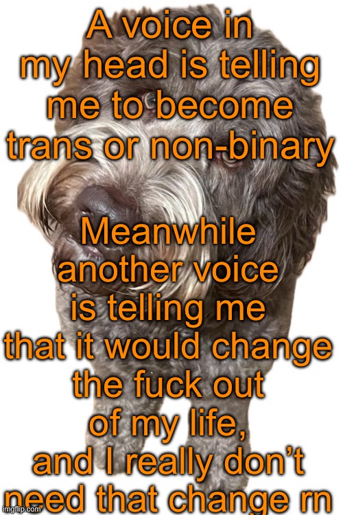Tell MSMG if you wanna. Or not, idc | A voice in my head is telling me to become trans or non-binary; Meanwhile another voice is telling me that it would change the fuck out of my life, and I really don’t need that change rn | image tagged in norther's dog | made w/ Imgflip meme maker