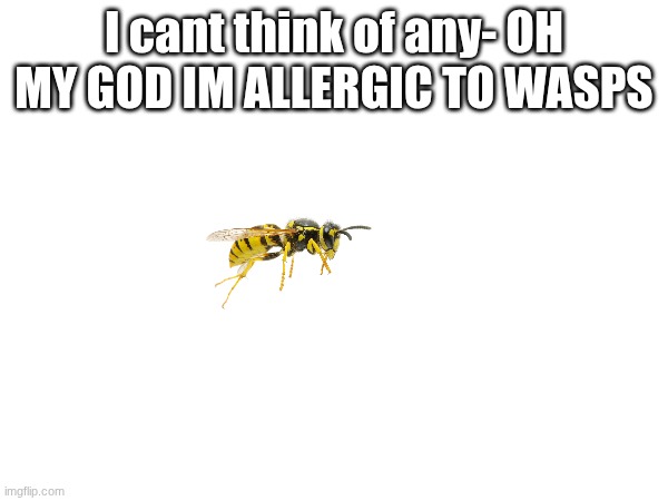 I cant think of any- OH MY GOD IM ALLERGIC TO WASPS | made w/ Imgflip meme maker