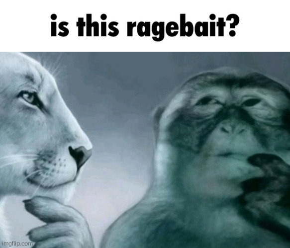 Is this ragebait? | image tagged in is this ragebait | made w/ Imgflip meme maker