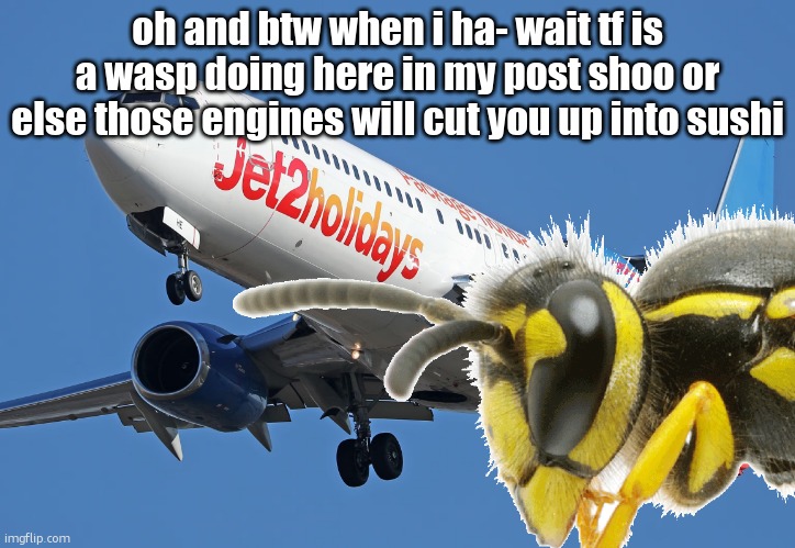 Jet2 | oh and btw when i ha- wait tf is a wasp doing here in my post shoo or else those engines will cut you up into sushi | image tagged in jet2 | made w/ Imgflip meme maker