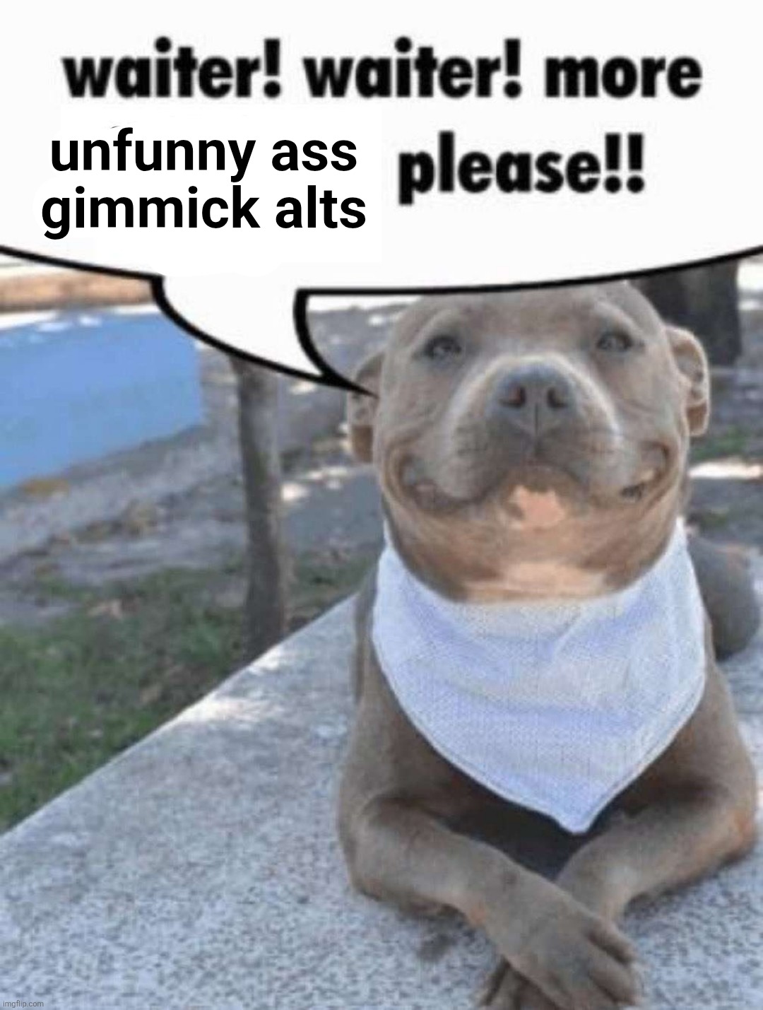waiter! pit bull | unfunny ass gimmick alts | image tagged in waiter pit bull | made w/ Imgflip meme maker