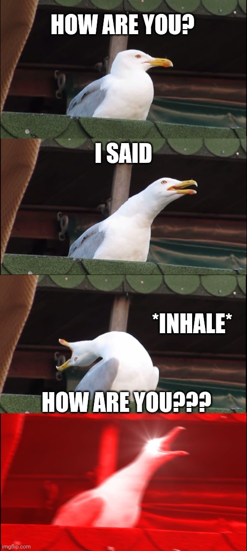 Inhaling Seagull Meme | HOW ARE YOU? I SAID; *INHALE*; HOW ARE YOU??? | image tagged in memes,inhaling seagull | made w/ Imgflip meme maker