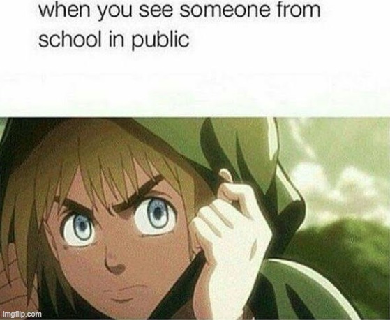 gtf | image tagged in snk,shingeki no kyojin,attack on titan,aot,anime,school | made w/ Imgflip meme maker