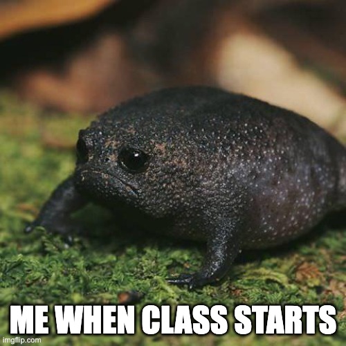 Me in class (sad frog) | ME WHEN CLASS STARTS | image tagged in sad toad,memes,funny,sad,school | made w/ Imgflip meme maker