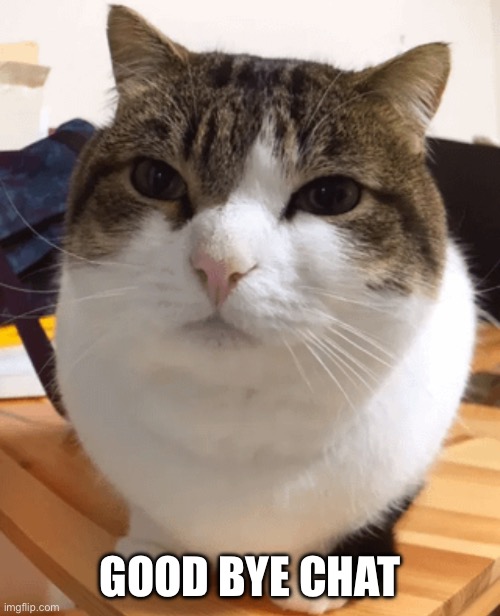 Farewell for now | GOOD BYE CHAT | image tagged in oh the misery original | made w/ Imgflip meme maker