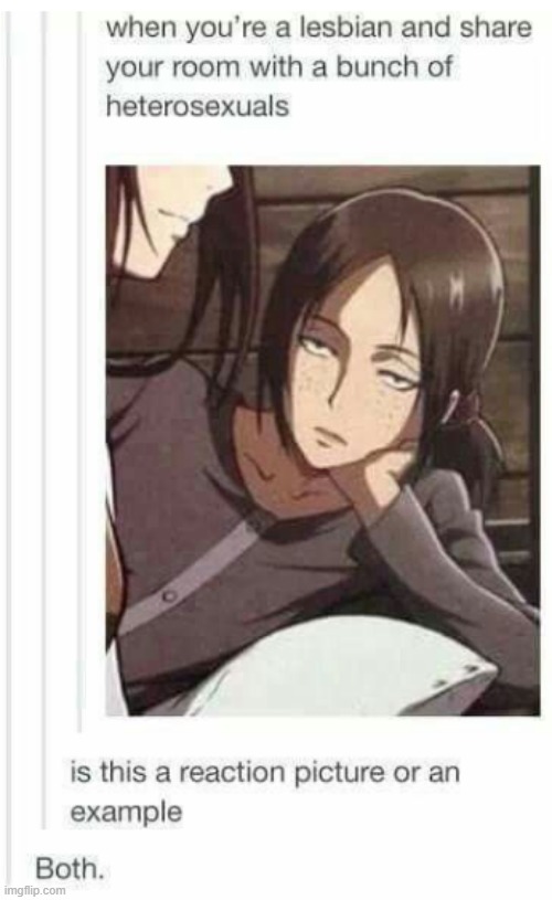 u | image tagged in aot,snk,attack on titan,shingeki no kyojin,lesbian problems,oh well | made w/ Imgflip meme maker
