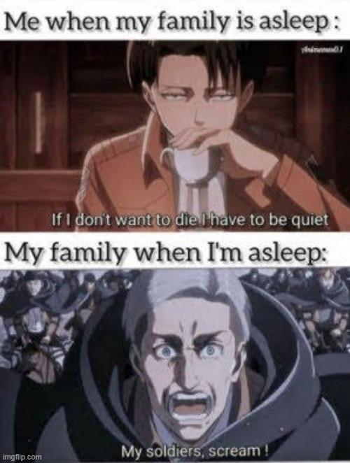duh | image tagged in aot,snk,shingeki no kyojin,attack on titan,anime,anime meme | made w/ Imgflip meme maker