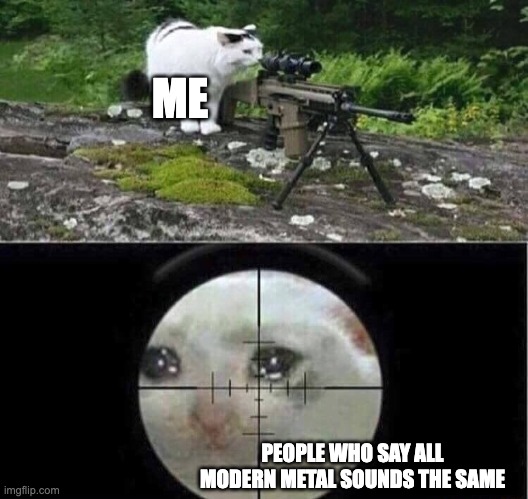 Modern metal is peak | ME; PEOPLE WHO SAY ALL MODERN METAL SOUNDS THE SAME | image tagged in sniper cat,funny,memes,metal,modern metal | made w/ Imgflip meme maker