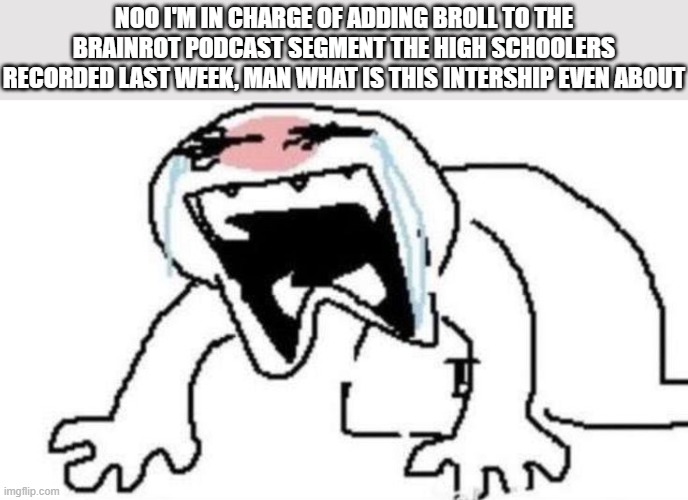 i'm cooked | NOO I'M IN CHARGE OF ADDING BROLL TO THE BRAINROT PODCAST SEGMENT THE HIGH SCHOOLERS RECORDED LAST WEEK, MAN WHAT IS THIS INTERSHIP EVEN ABOUT | image tagged in ugly crying | made w/ Imgflip meme maker