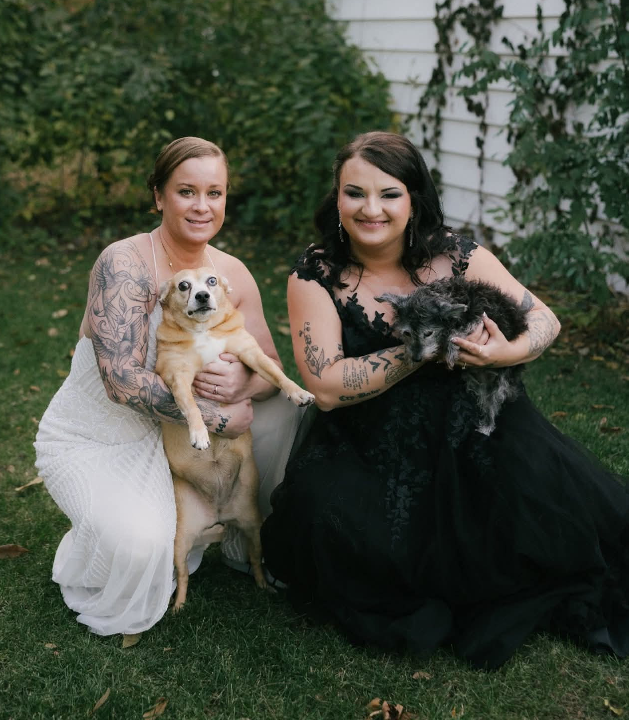 Scared dog Blank Meme Template