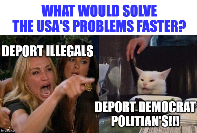 Smudge knows best! | WHAT WOULD SOLVE THE USA'S PROBLEMS FASTER? DEPORT ILLEGALS; DEPORT DEMOCRAT POLITIAN'S!!! | image tagged in memes,woman yelling at cat,illegal immigration,democrats,usa,funny memes | made w/ Imgflip meme maker