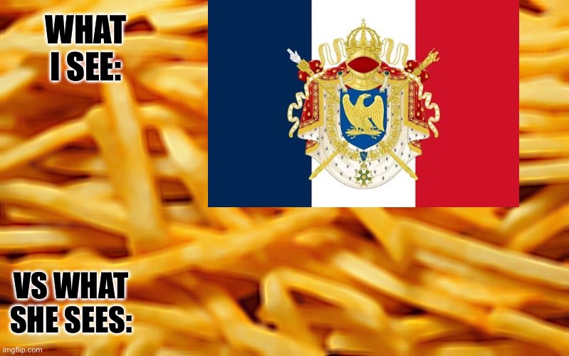 French Fries | WHAT I SEE:; VS WHAT SHE SEES: | image tagged in french fries | made w/ Imgflip meme maker