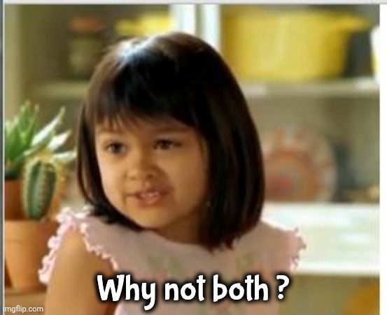Why not both | Why not both ? | image tagged in why not both | made w/ Imgflip meme maker