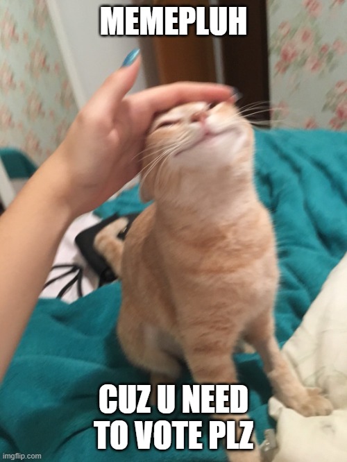 https://imgflip.com/i/abqetp | MEMEPLUH; CUZ U NEED TO VOTE PLZ | image tagged in cat pat | made w/ Imgflip meme maker