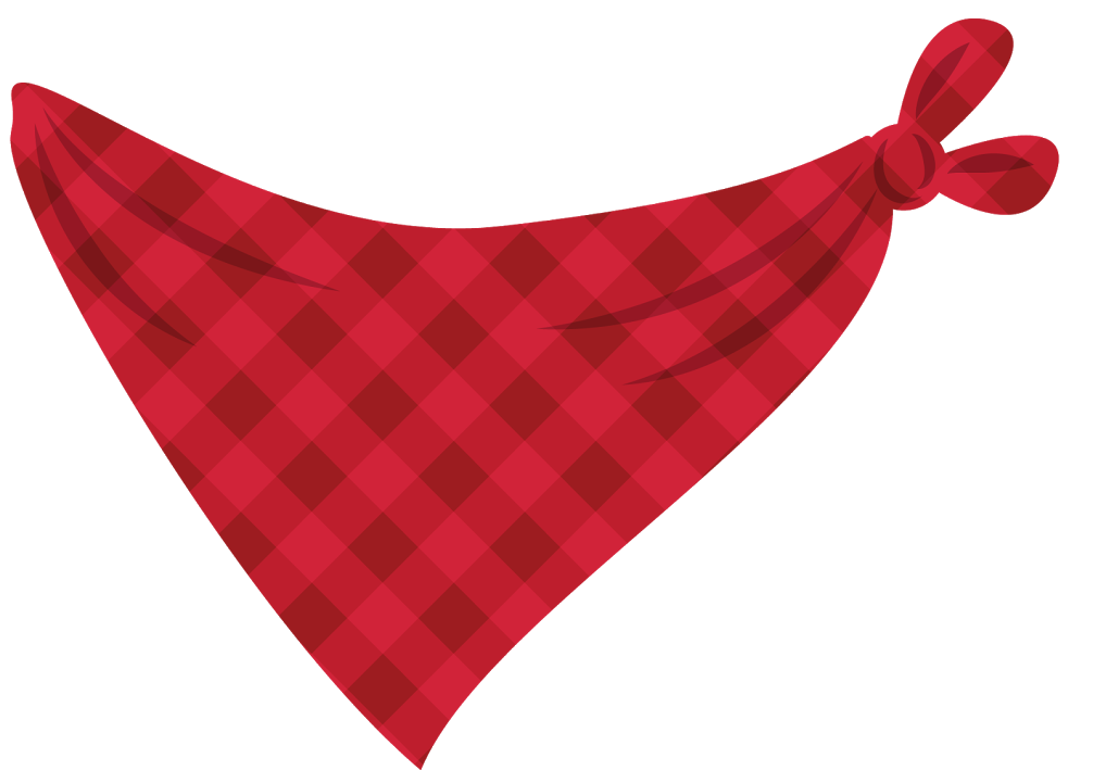 Red Bandana Blank Meme Template