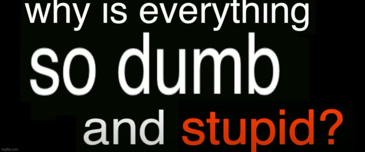 why is everything so dumb and stupid | image tagged in why is everything so dumb and stupid | made w/ Imgflip meme maker