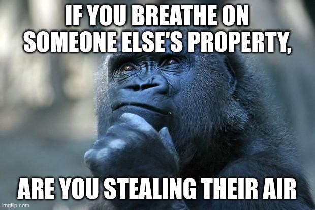 deep thoughts | IF YOU BREATHE ON SOMEONE ELSE'S PROPERTY, ARE YOU STEALING THEIR AIR | image tagged in deep thoughts | made w/ Imgflip meme maker