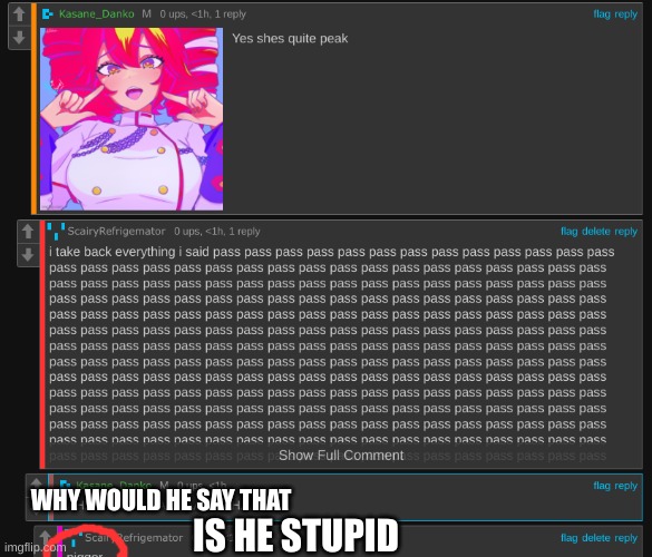 I TYPED PJQQOR NOT THE N WDOR | WHY WOULD HE SAY THAT; IS HE STUPID | made w/ Imgflip meme maker