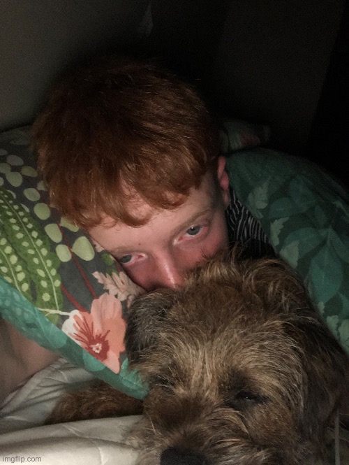 Doggo | made w/ Imgflip meme maker