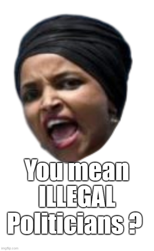 You mean ILLEGAL Politicians ? | made w/ Imgflip meme maker