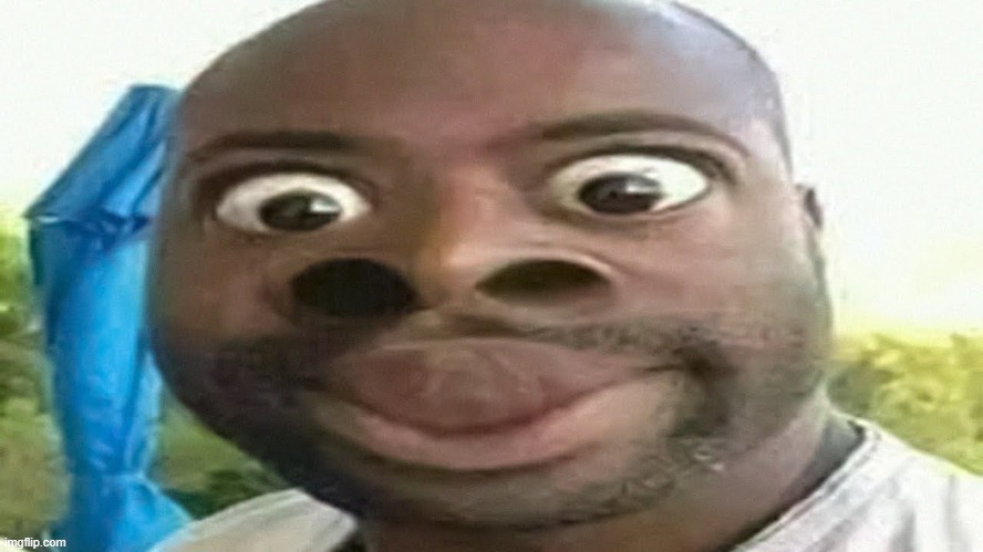 NOSE | image tagged in nose,big nose,nostrils,funny | made w/ Imgflip meme maker