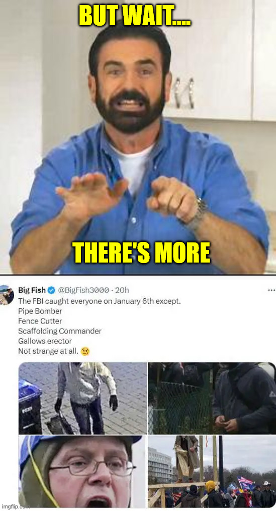 BUT WAIT.... THERE'S MORE | image tagged in but wait there's more | made w/ Imgflip meme maker