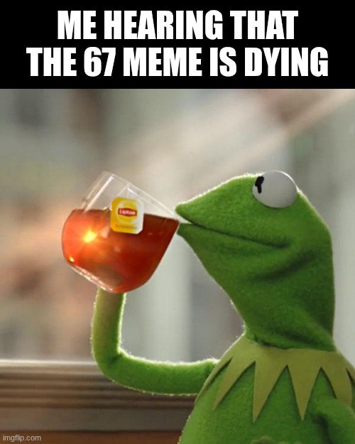 mostly for the failed bitcoin | ME HEARING THAT THE 67 MEME IS DYING | image tagged in memes,but that's none of my business,kermit the frog | made w/ Imgflip meme maker