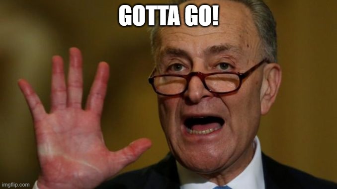 Why!!! | GOTTA GO! | image tagged in chuck schumer | made w/ Imgflip meme maker