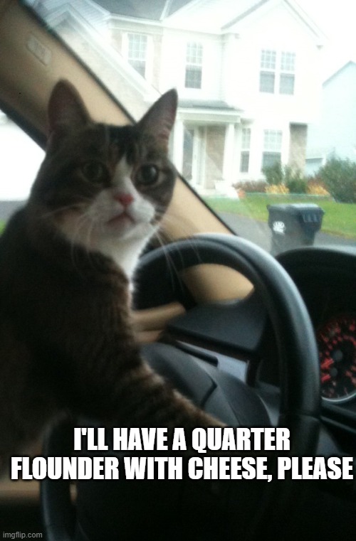 JoJo The Driving Cat | I'LL HAVE A QUARTER FLOUNDER WITH CHEESE, PLEASE | image tagged in jojo the driving cat | made w/ Imgflip meme maker