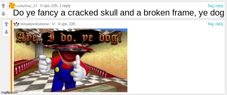 Do ye fancy a cracked skull and a broken frame, ye dog | made w/ Imgflip meme maker
