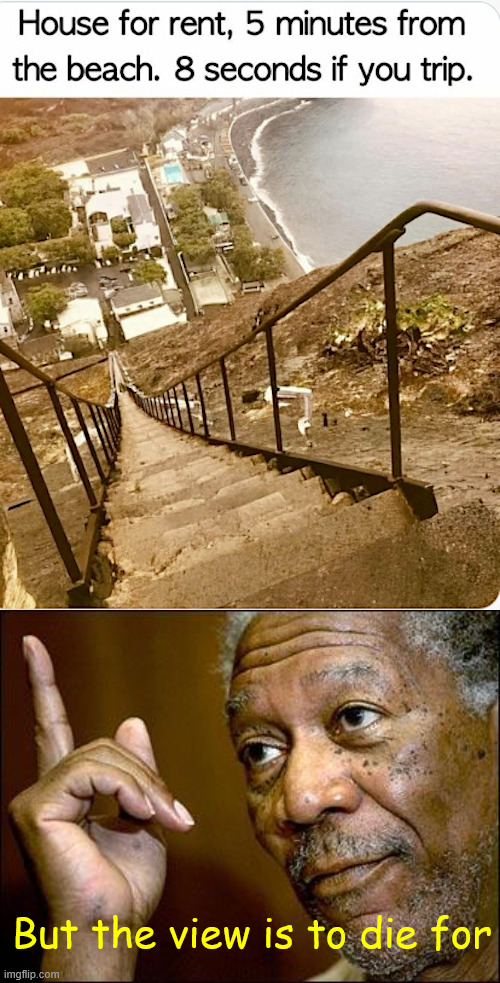 What a view | But the view is to die for | image tagged in memes,overload,house for rent | made w/ Imgflip meme maker