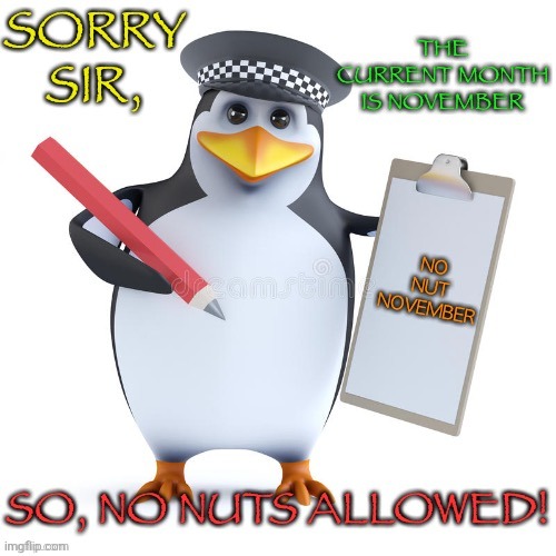 No Nut November Penguin | image tagged in no nut november penguin | made w/ Imgflip meme maker