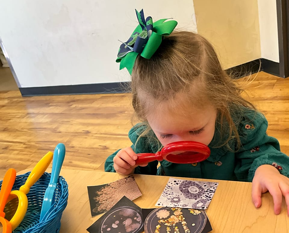 Looking for Blank Meme Template