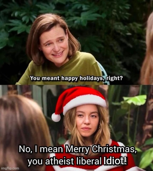 Happy holidays Sydney Sweeney | Idiot! | image tagged in sydney,christmas | made w/ Imgflip meme maker
