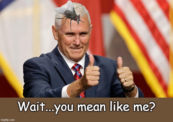 MIKE PENCE FOR PRESIDENT | Wait...you mean like me? | image tagged in mike pence for president | made w/ Imgflip meme maker