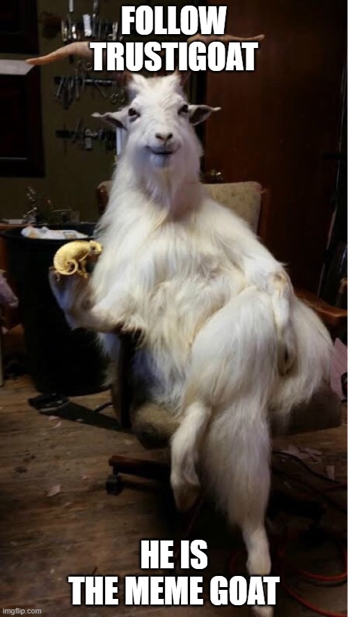 I'm not TrustiGoat it's someone else btw | FOLLOW TRUSTIGOAT; HE IS THE MEME GOAT | image tagged in goat | made w/ Imgflip meme maker