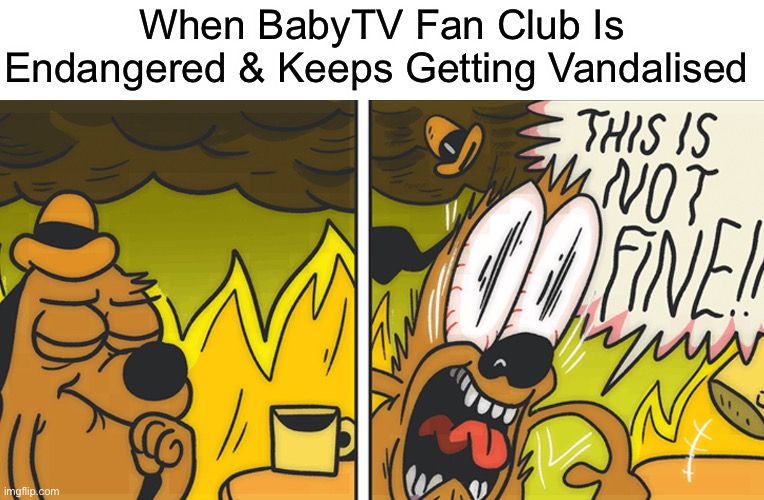 First, It Was BabyTV Fanon That Was Endangered, Now The BabyTV Fan Club Is At Risk Of Shutting Down | When BabyTV Fan Club Is Endangered & Keeps Getting Vandalised | image tagged in this is not fine | made w/ Imgflip meme maker
