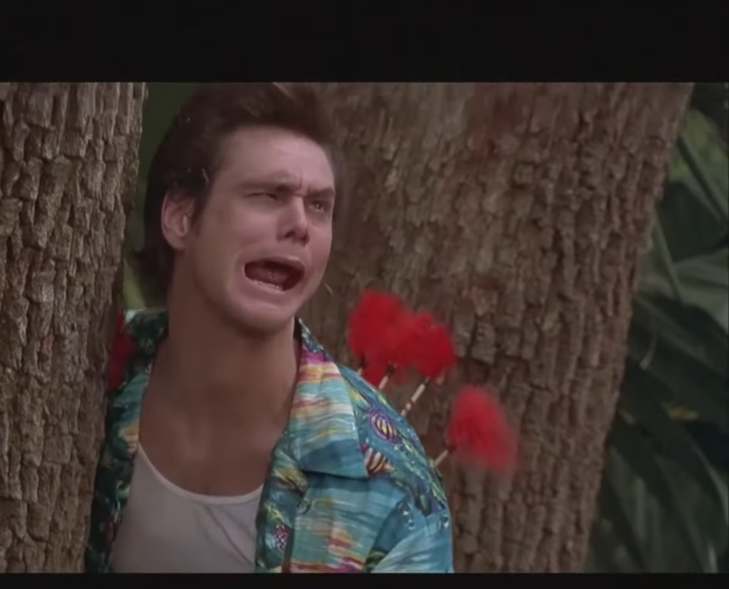 Ace Ventura dart 2 Blank Meme Template