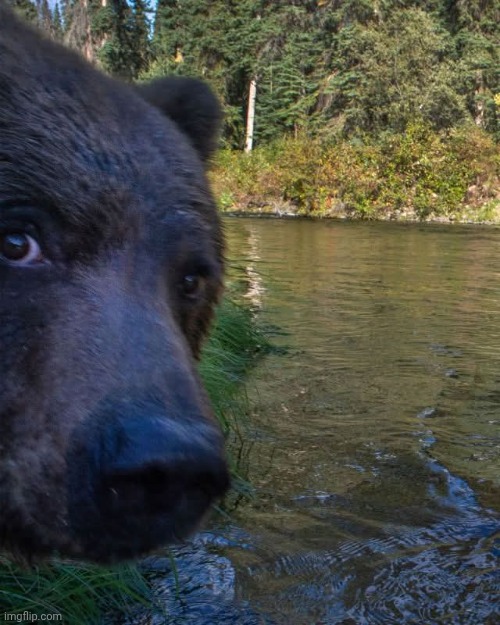 Helo | made w/ Imgflip meme maker