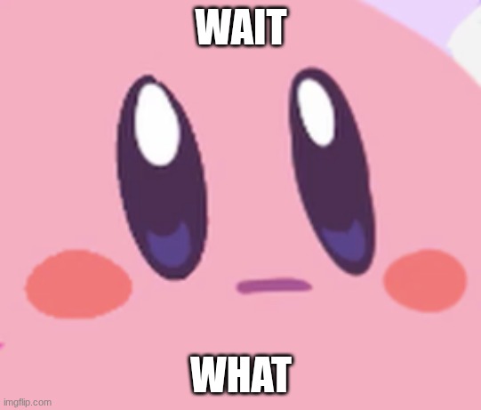 Blank Kirby Face | WAIT WHAT | image tagged in blank kirby face | made w/ Imgflip meme maker