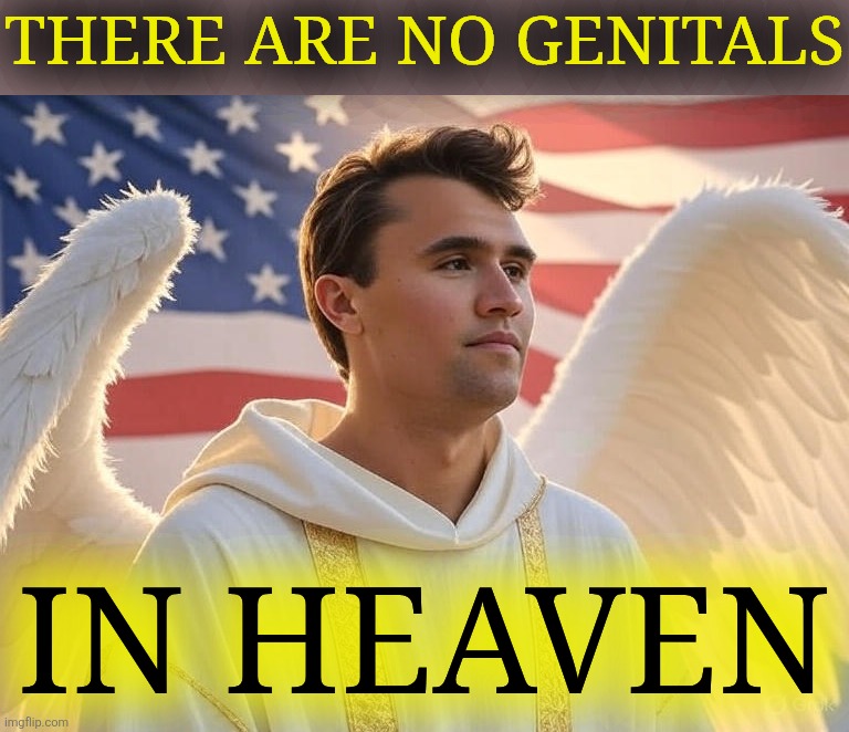 Charlie Kirk in Heaven | THERE ARE NO GENITALS IN HEAVEN | image tagged in charlie kirk in heaven | made w/ Imgflip meme maker