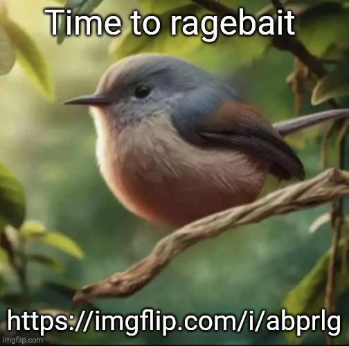 You'll find your prey- i mean users | Time to ragebait; https://imgflip.com/i/abprlg | image tagged in no balls | made w/ Imgflip meme maker