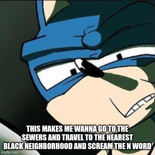 sonic wtf | THIS MAKES ME WANNA GO TO THE SEWERS AND TRAVEL TO THE NEAREST BLACK NEIGHBORHOOD AND SCREAM THE N WORD | image tagged in sonic wtf | made w/ Imgflip meme maker