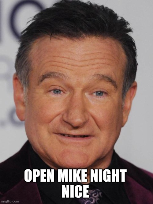 Robin Williams | OPEN MIKE NIGHT 
NICE | image tagged in robin williams | made w/ Imgflip meme maker