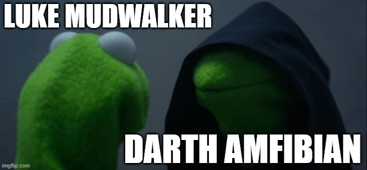 Evil Kermit | LUKE MUDWALKER; DARTH AMFIBIAN | image tagged in memes,evil kermit | made w/ Imgflip meme maker