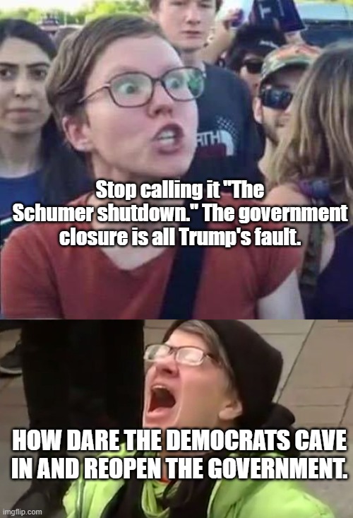 Shutdown | Stop calling it "The Schumer shutdown." The government closure is all Trump's fault. HOW DARE THE DEMOCRATS CAVE IN AND REOPEN THE GOVERNMENT. | image tagged in angry liberal,screaming liberal | made w/ Imgflip meme maker