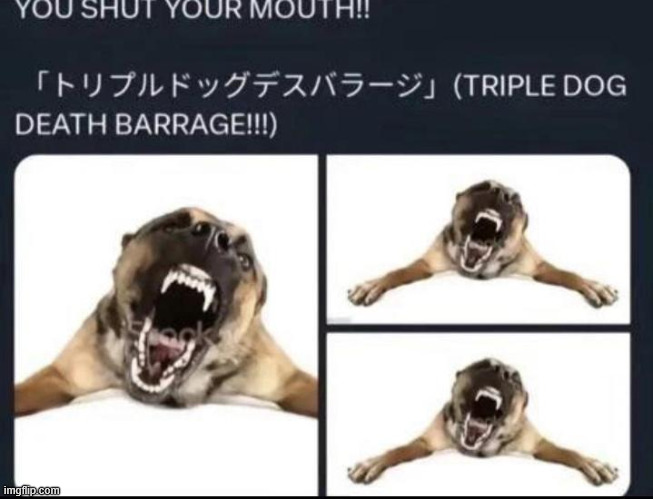 TRIPLE DOG DEATH BARRAGE | image tagged in triple dog death barrage | made w/ Imgflip meme maker