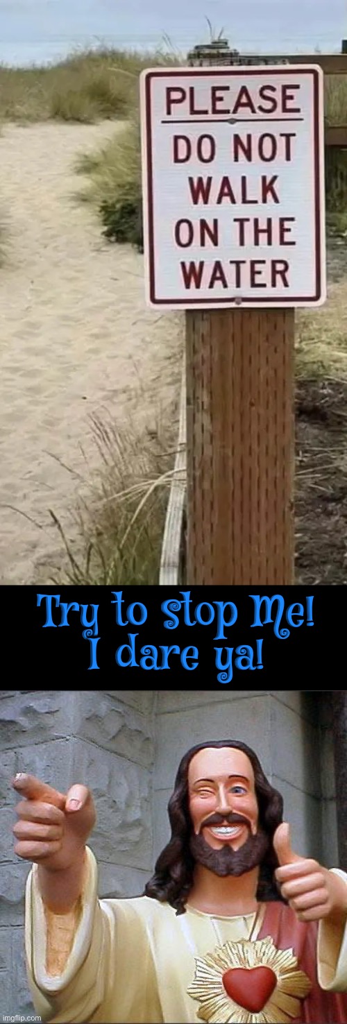 Try To Stop Me | Try to stop Me!
I dare ya! | image tagged in jesus christ,christians christianity,that sign won't stop me,god,funny meme,funny signs | made w/ Imgflip meme maker